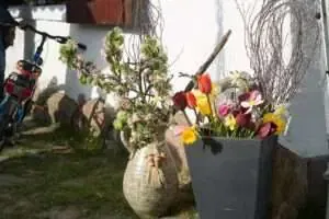 Fruehlingsfest2017 BV (12 von 20)