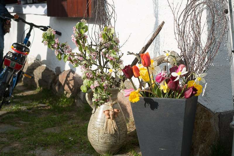 Fruehlingsfest2017 BV (12 von 20)