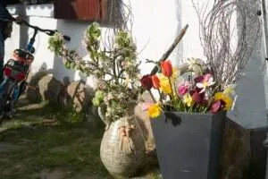 Fruehlingsfest2017 BV 12 von