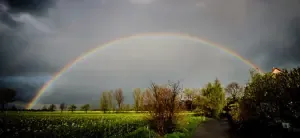 Frühlingsfest 2016